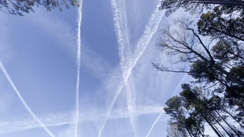Chem Trails