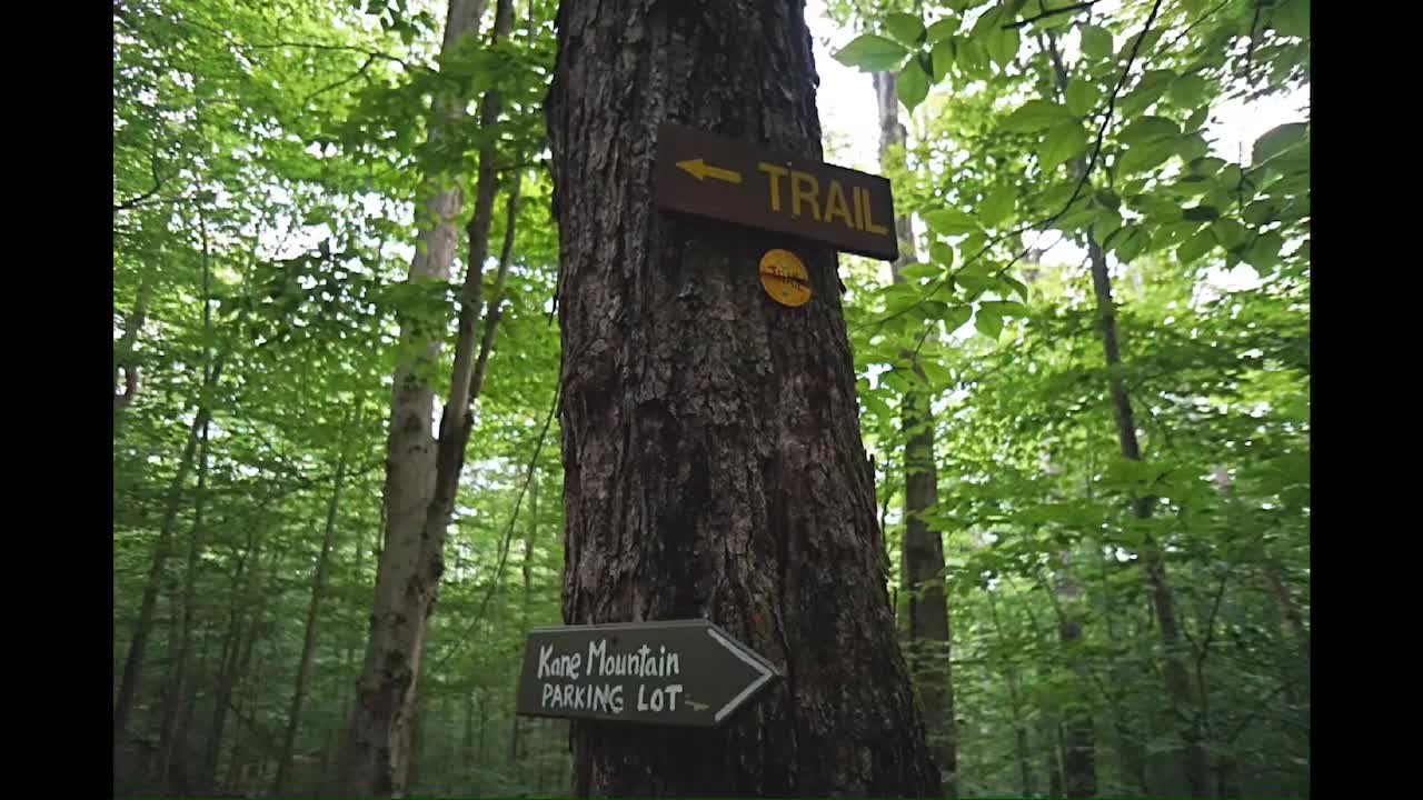 Kane Mountain Firetower