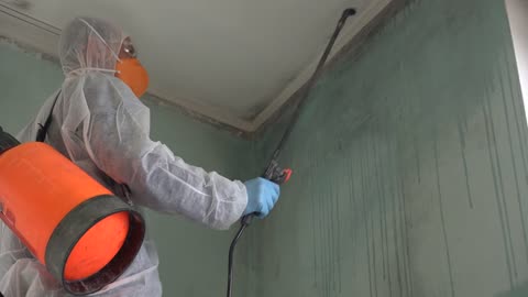 Protect Your Property with Reliable Mold Testing Solutions