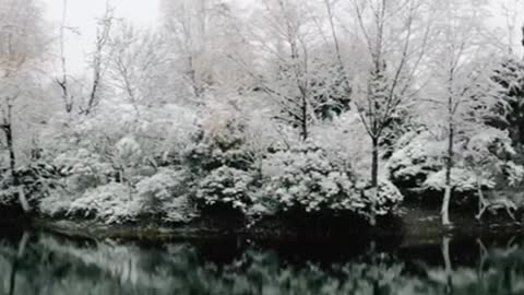 Snow scene taken by the Japanese last winter