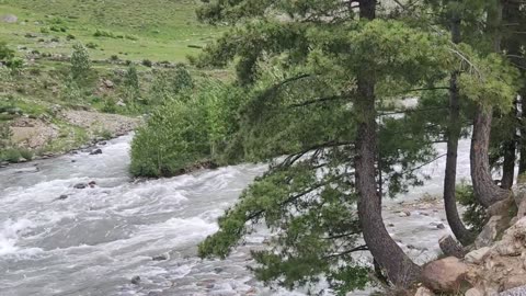 I record the nature ,