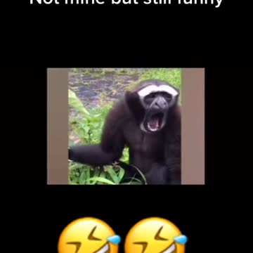 Not mine but still funny🤣🤣