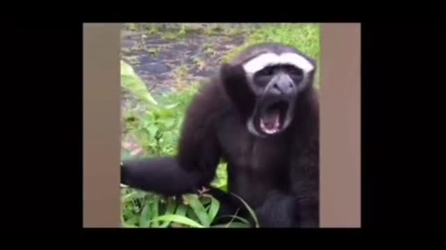 Not mine but still funny🤣🤣