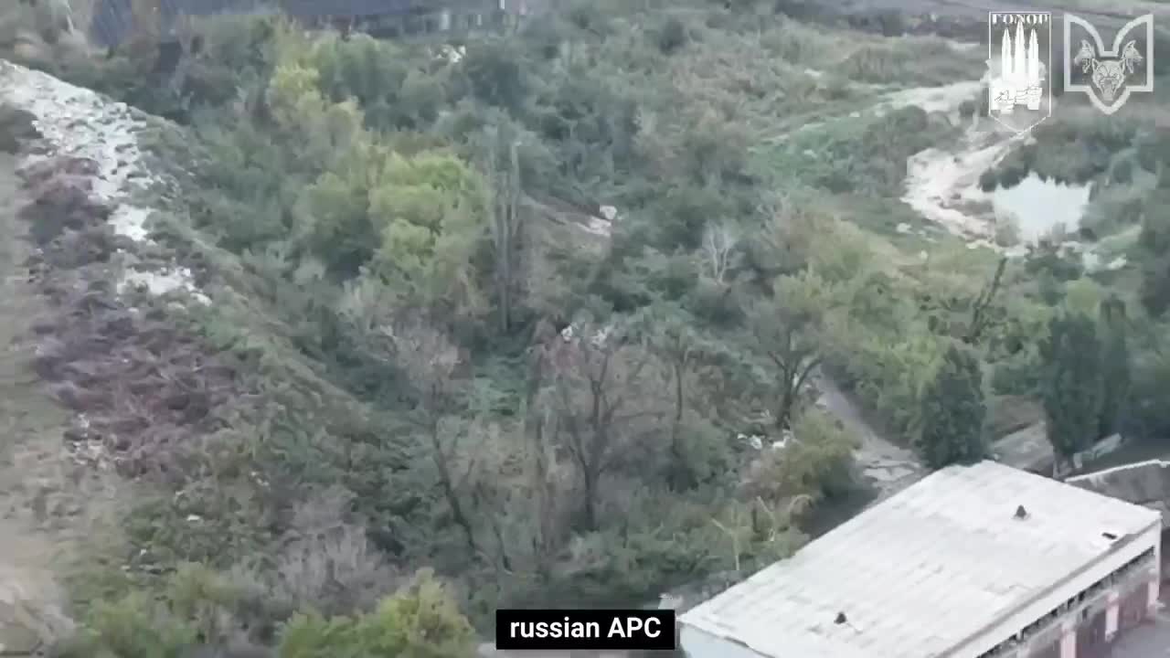 +18 Disturbing Video showing dead and wounded