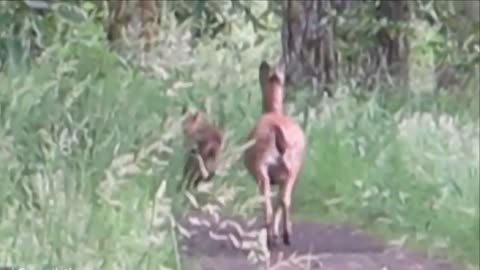 Mom and her beautiful baby in nature !!!