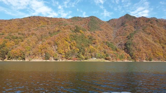 Beautifu river and maple in Korea