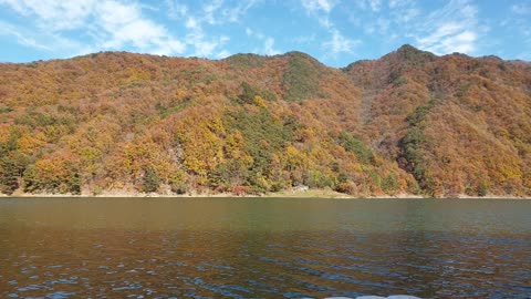 Beautifu river and maple in Korea