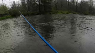 Great Rainy Day Trout Fishing Plus bonus Big Clarion River Browns