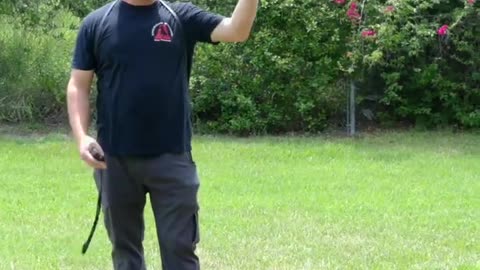 Dog training