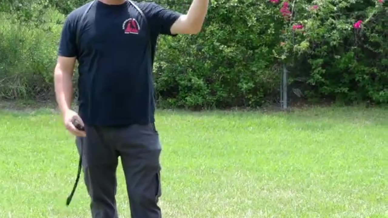 Dog training