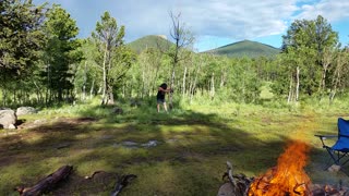 Felling a tree by hand