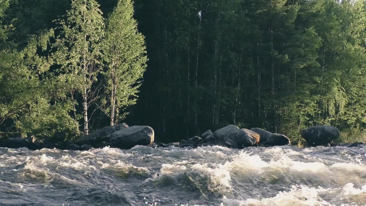 River flowing through the forest with river and birds sounds