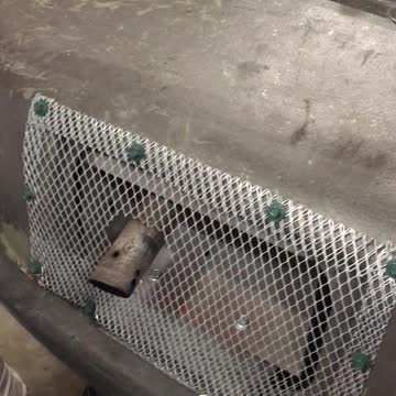 I am talking about my Argo, I am putting up for sale. 1