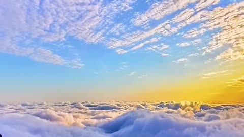 The beauty of nature never needs artificial modification.