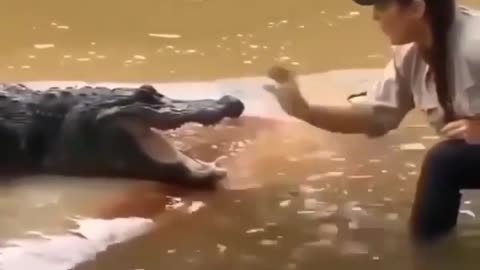 This is a beautiful and charming water-dwelling species