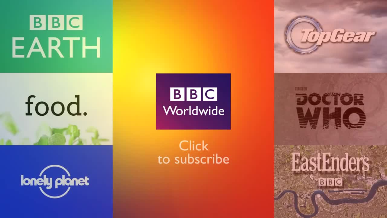 American Crocodile | Up Close and Personal | Deadly 60 | BBC Earth