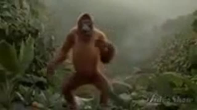 Monkey dance