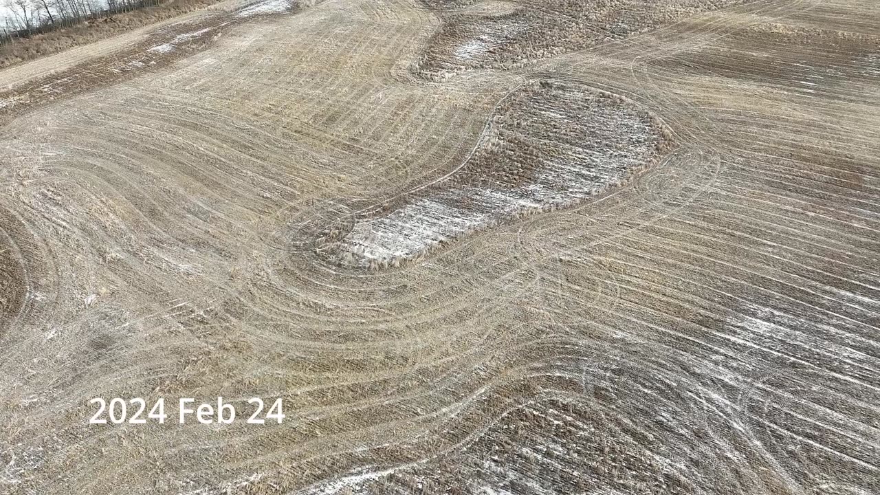 Flying over a Field in Late February 2024