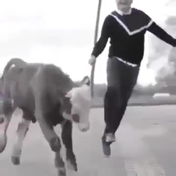 Beautiful and fun video