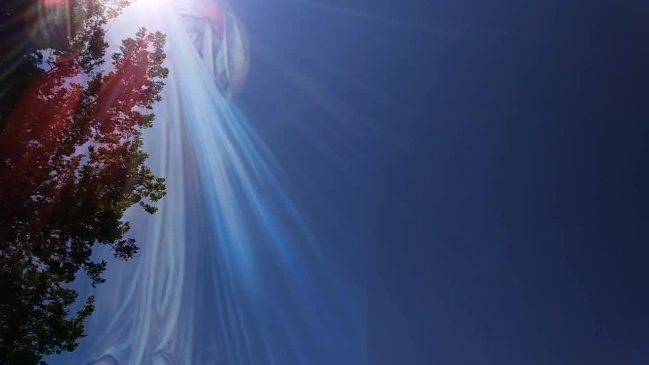 Divine Mercy in My Yard