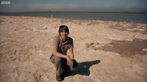 What is the Smallest Organism on Earth? | Wonders of Life w/ Prof Brian Cox | BBC Earth