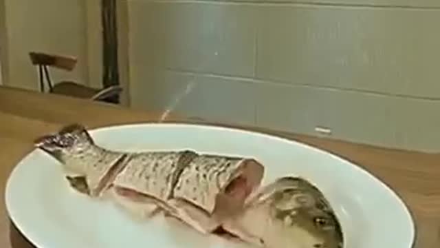Selamat