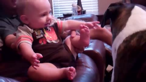 Baby giggles and boxer slobbery kisses