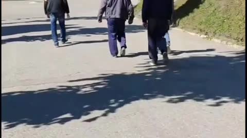 Поиск соунд трека к ролику
