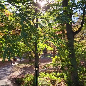 Central Park New York City Manhattan