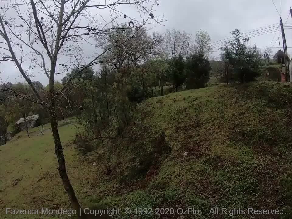 Farm Fazenda Mondego in Fornos de Algodres in Portugal - Epic music on the back ground