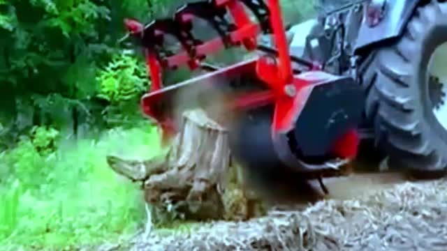 Amazing Tractor cutting tree - Amazing Machines #2