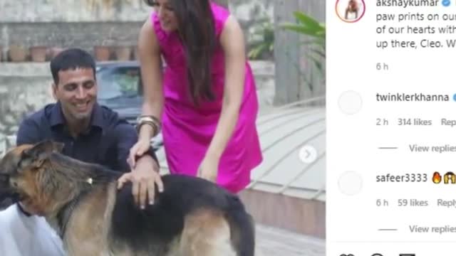 Akshay kumar doggy is no more