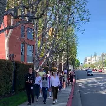 Disney Employees Host CRINGEWORTHY Walkout After Florida Passed An Anti-Grooming Bill