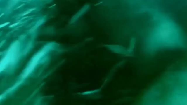 Top Nine Surprising Discoveries made by Deep Sea Divers #Rumble