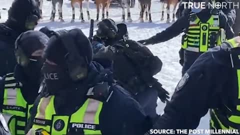 Police officer appears to beat protester with the stock of his gun