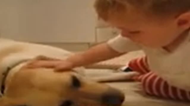 Dog vs baby
