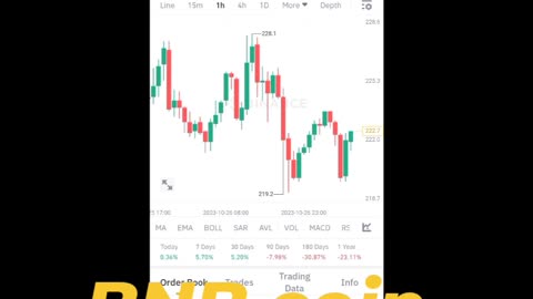 BTC coin Etherum coin Cryptocurrency cryptonews song Rubbani bnb coin short video reel #bnb