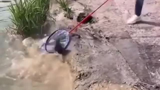 Fishing video