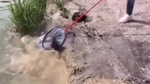 Fishing video