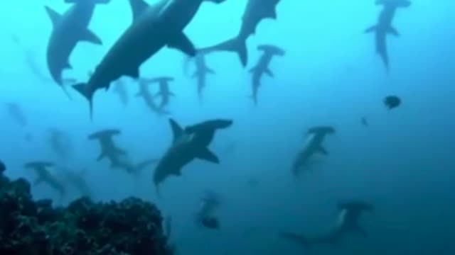 Terrifying Islands That Actually Exist... #scary #island