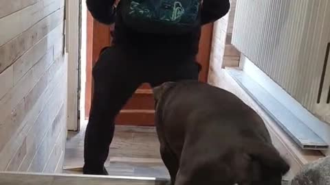 Today its head to head between dad and peach