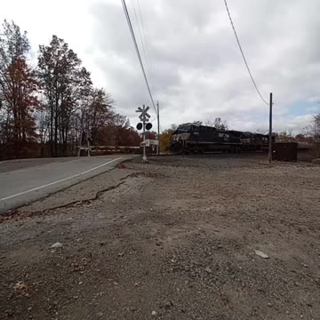 Service dog watches train!