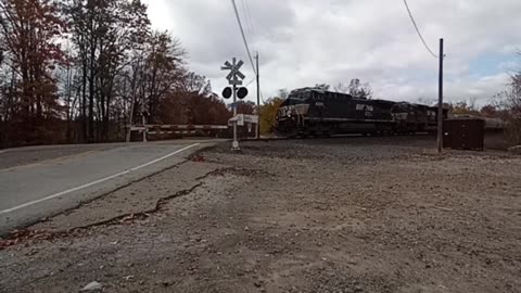 Service dog watches train!