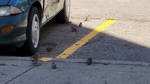 Lawlessness Will Increase, The Love Of Many Will Grow Cold