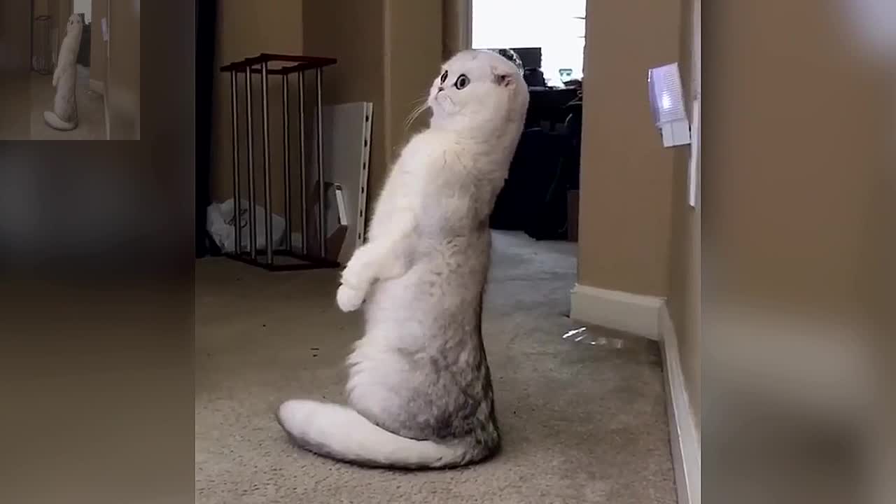 Learn to stand