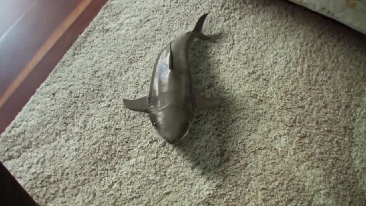 2020 Cutest Baby Shark Happy Shark Funny Shark Cute Baby