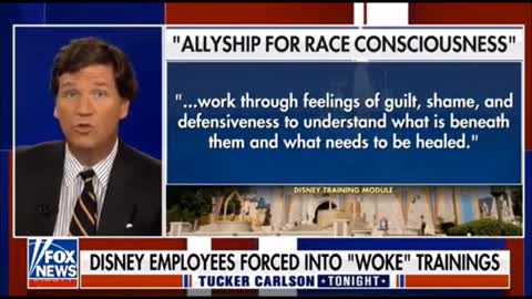 The Racist Woke Anti White Disney Company - Tucker Carlson