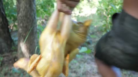 Chicken cooking, recipes at forest - Eating delicious | Primitive technology-5