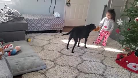 Toddler_and_doggy_adorably_spin_in_circles_together