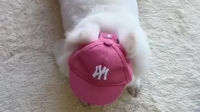 everyone has the love of beauty. so cute!!